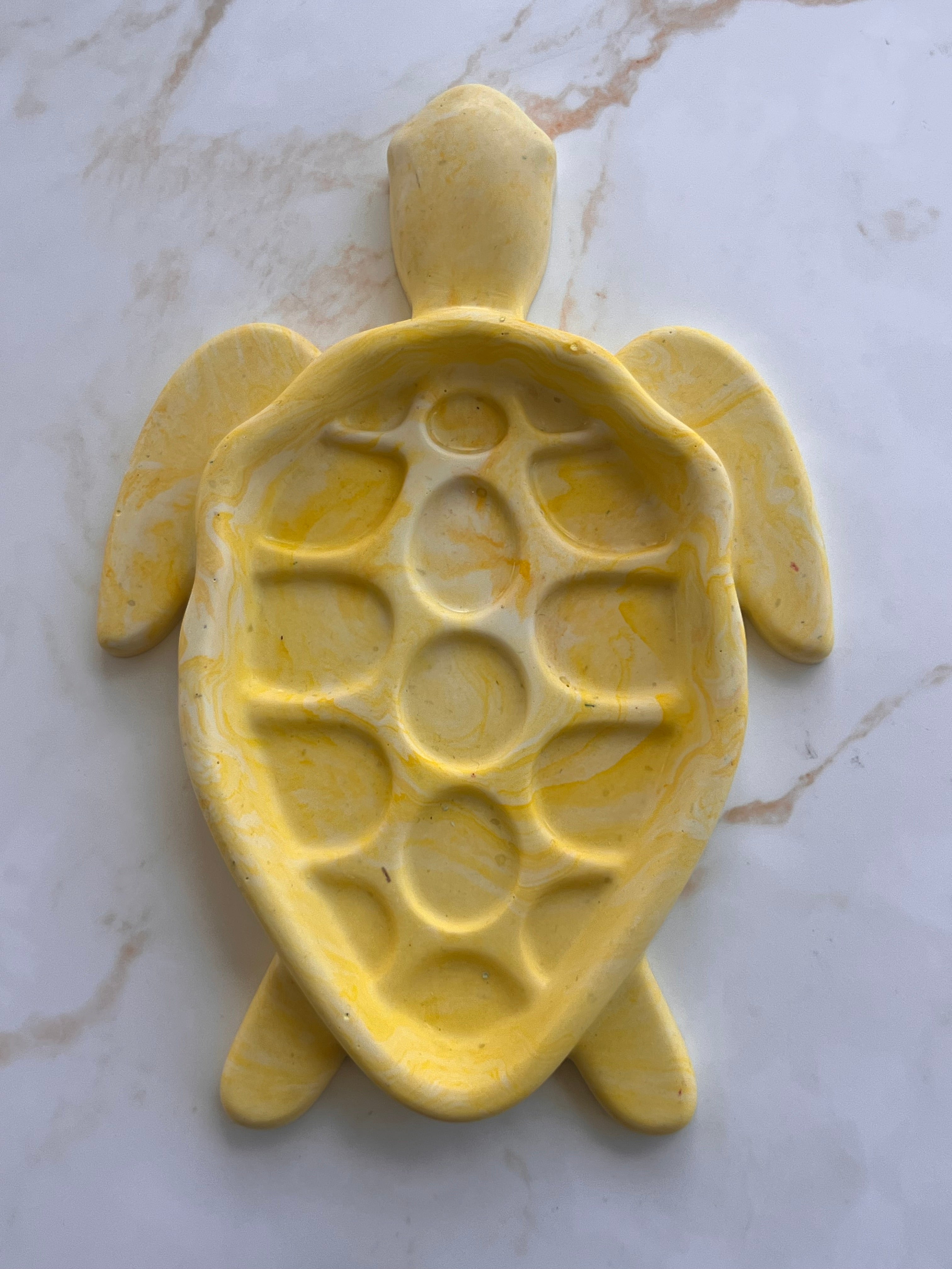 Tortue Horizon