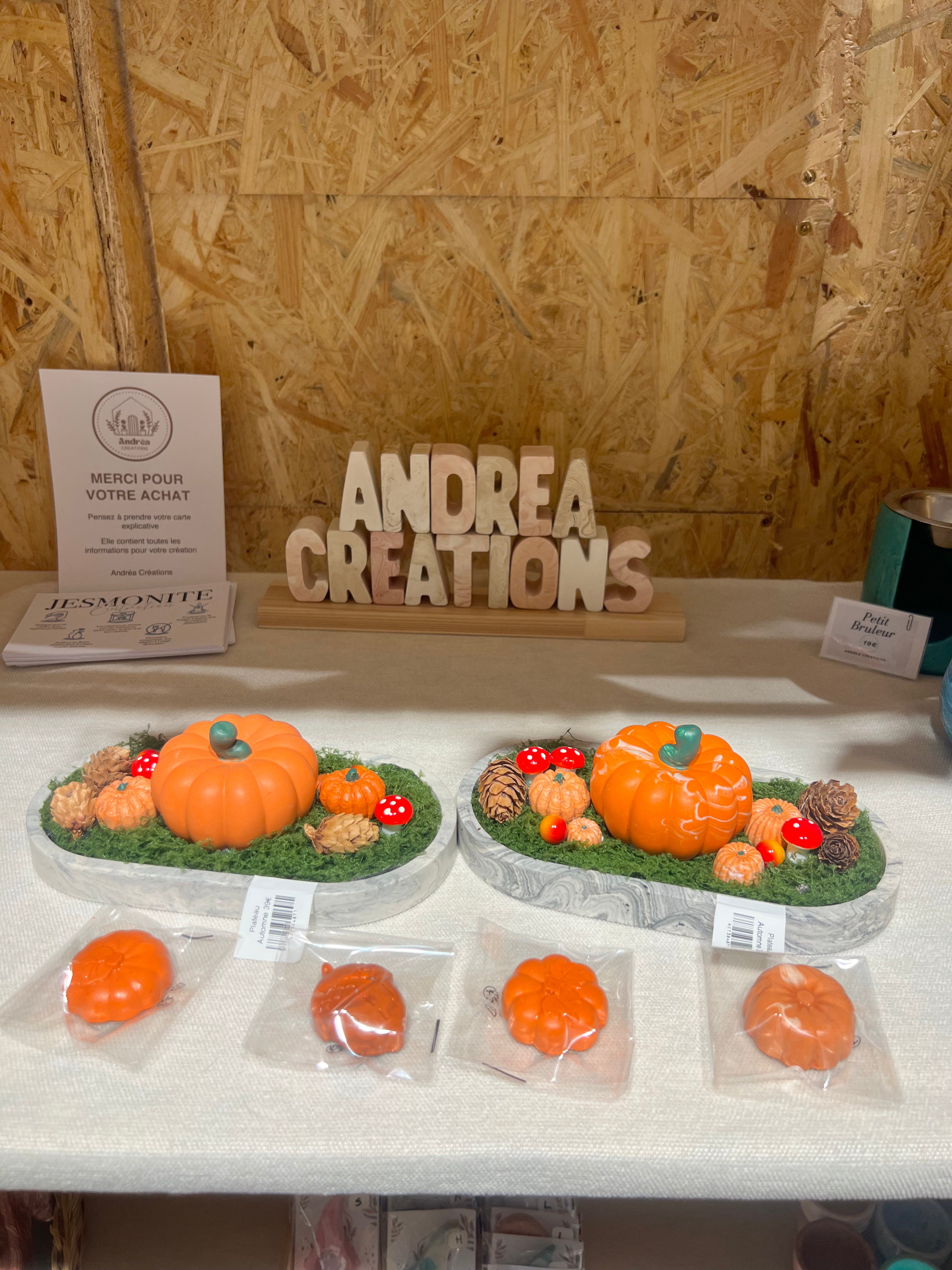 Plateau décoratif automne en jesmonite avec citrouilles et champignons, vue 2