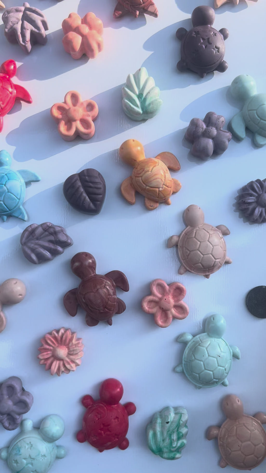 Magnets mini Tortue x4  🐢