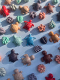 Magnets mini Tortue x4  🐢